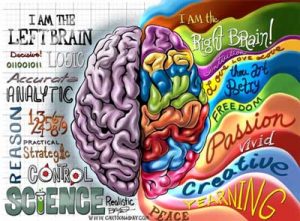 left brain right brain myth